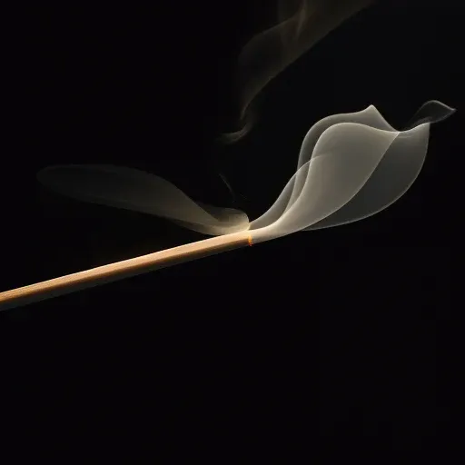 인센스 스모크 스튜디오 포토 (Incense Smoke Studio Photo) 대표 이미지