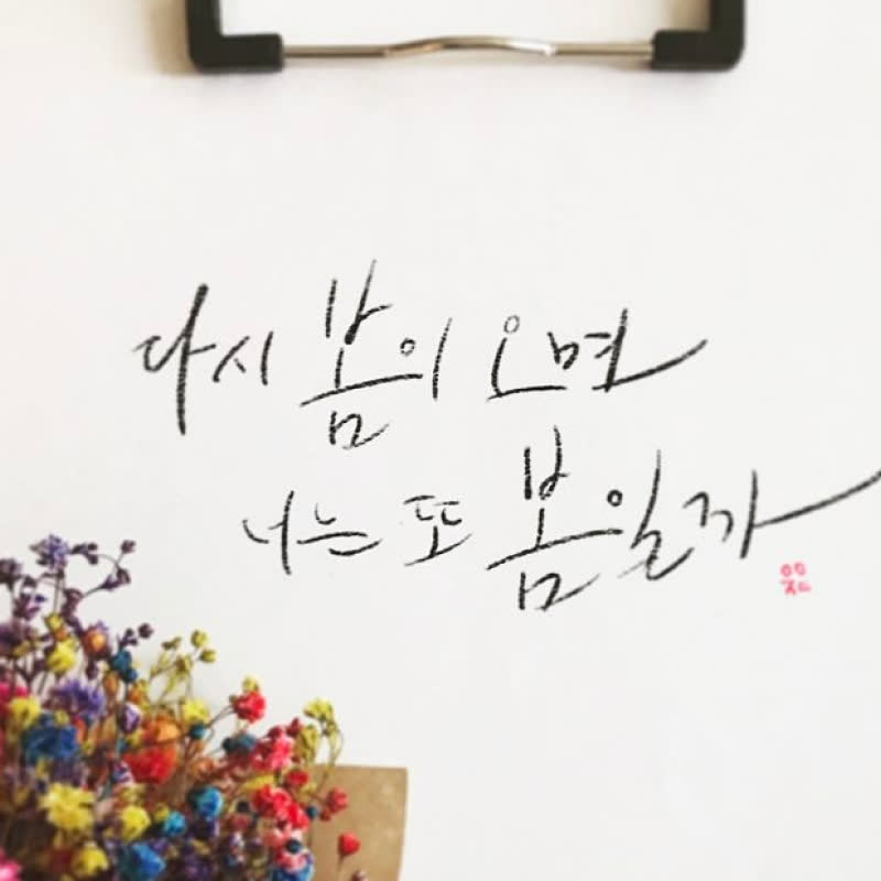 캘리그라피
