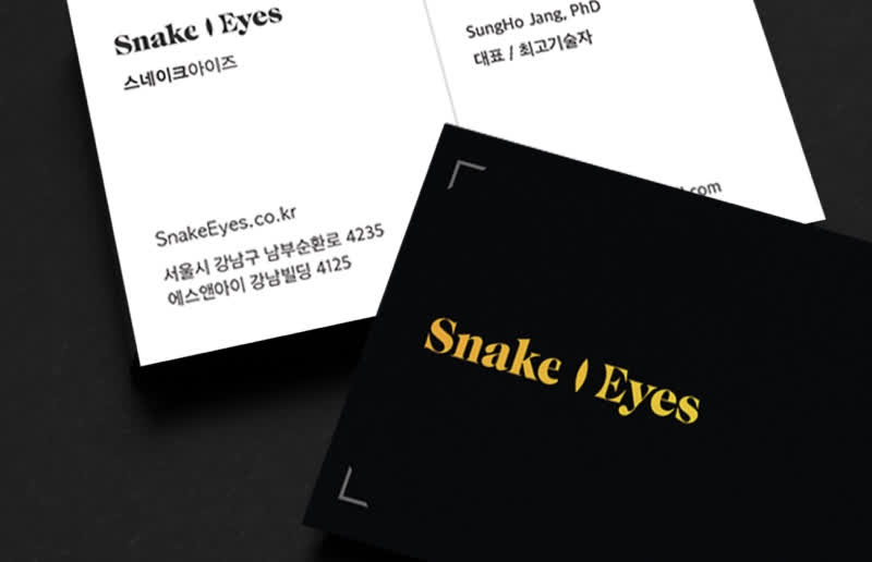 스네이크 아이즈 — AI 회사 브랜딩